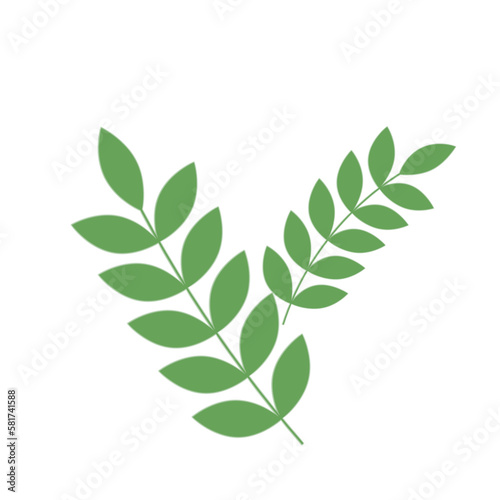 Green Leaf Illustration 