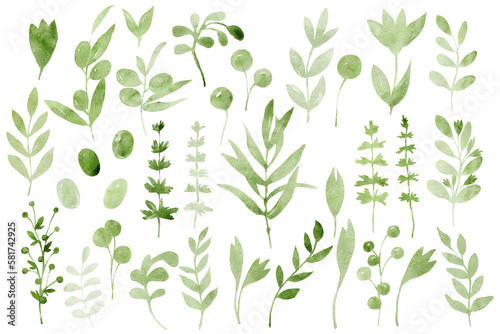 Set of elements with spring greenery, twigs, leaves and flowers. Hand drawn watercolor illustration isolated on white background