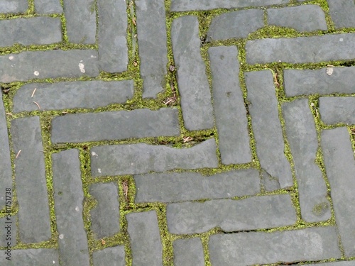 Herringbone pattern paving in grey with moss in between. Shanghai, China.