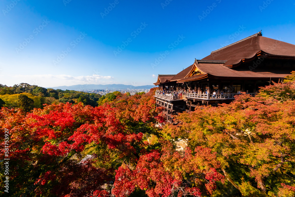 Naklejka premium 秋の京都・清水寺で見た、色鮮やかな紅葉と快晴の青空