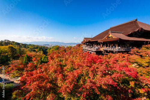秋の京都・清水寺で見た、色鮮やかな紅葉と快晴の青空