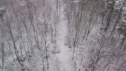Wallpaper Mural aerial view of white winter cold landscape drone fly above national park during cold season  Torontodigital.ca