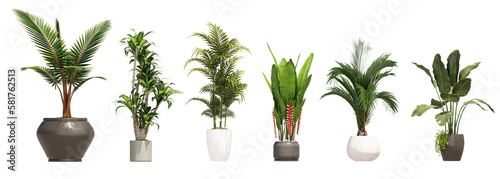 3D illustration plant banana Heliconia palm Dracaena in pot