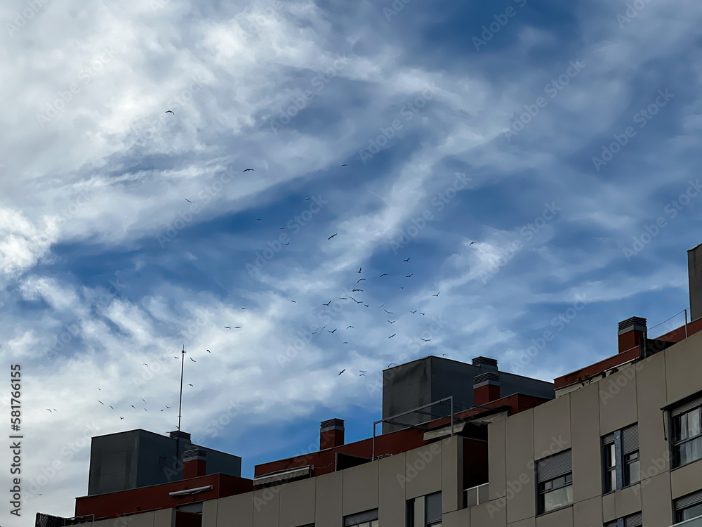 Cloudy skies with building and a flock of birds flying through the sky