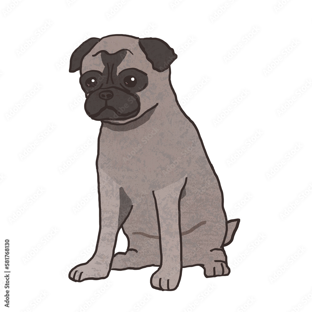 Fototapeta premium かわいくお座りするパグ犬