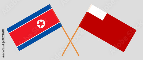 Crossed flags of North Korea and Abu Dhabi. Official colors. Correct proportion