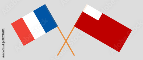 Crossed flags of France and Abu Dhabi. Official colors. Correct proportion