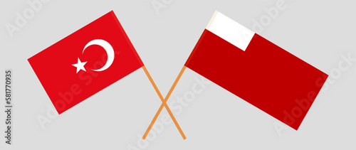Crossed flags of Turkiye and Abu Dhabi. Official colors. Correct proportion