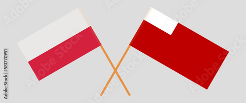 Crossed flags of Poland and Abu Dhabi. Official colors. Correct proportion