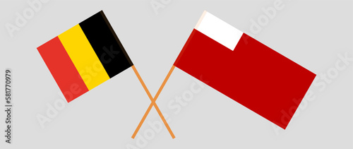 Crossed flags of Belgium and Abu Dhabi. Official colors. Correct proportion