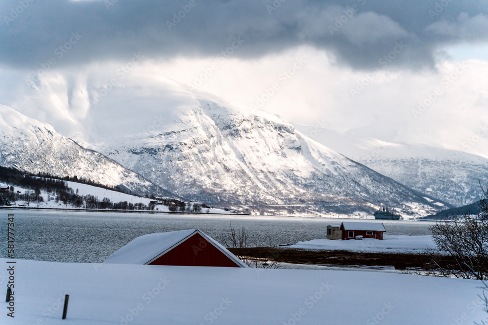 landscape nature snowy day in tromso, norway