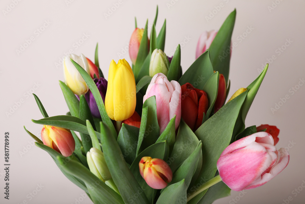 Bouquet of colorful tulips on white background, closeup Bouquet of colorful tulips on white background, closeup