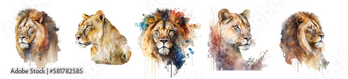 Lions and Lionesses - watercolor clipart created with generative AI technology