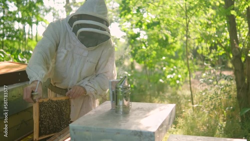 Beekeeper is examining his beehives in forest. Beekeeping professional occupation.