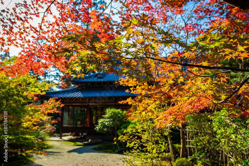 秋の京都・南禅寺の天授庵で見た、カラフルな紅葉と快晴の青空