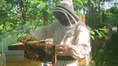 Beekeeper is examining his beehives in forest. Beekeeping professional occupation.