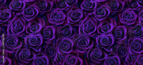 Roses in dark purple color, horizontal seamless pattern. Roses arrangement in purple and blue modern gothic style.