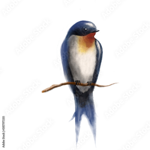 Swallow © Kiriakia_art