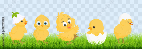 Set of Happy Easter chicks. Cute Easter chicks with eggs hidden in the grass. Vector Illustration isolated on png background. Spring holiday concept.