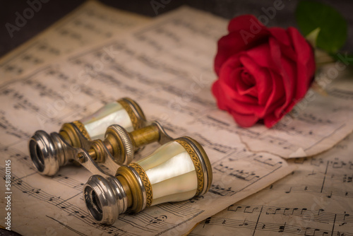 antique book and rose