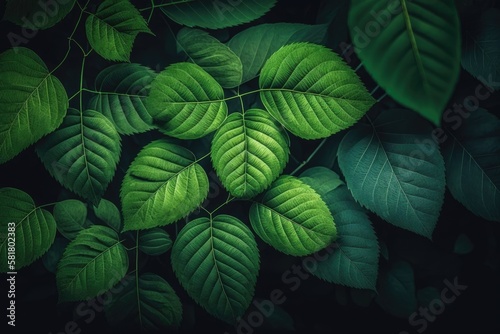 background texture of green leaves, Natural wallpaper and backgrounds. Generative AI