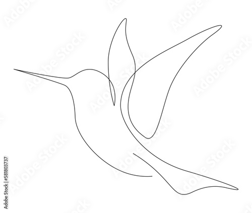 Continuous one line drawing of collibri. Humming bird. Abstract flying bird outline vector illustration.