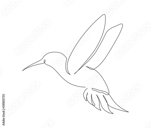 Continuous one line drawing of collibri. Humming bird. Abstract flying bird outline vector illustration.
