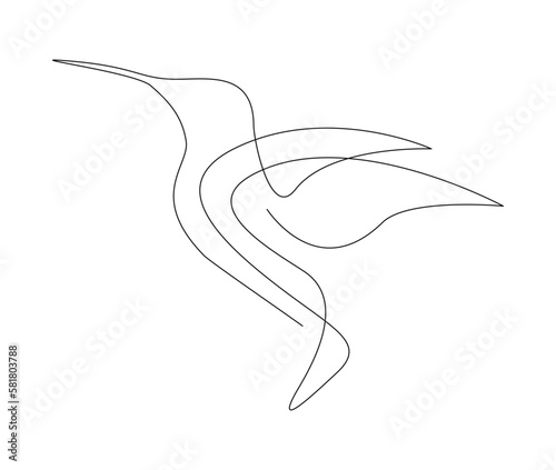 Continuous one line drawing of collibri. Humming bird. Abstract flying bird outline vector illustration.