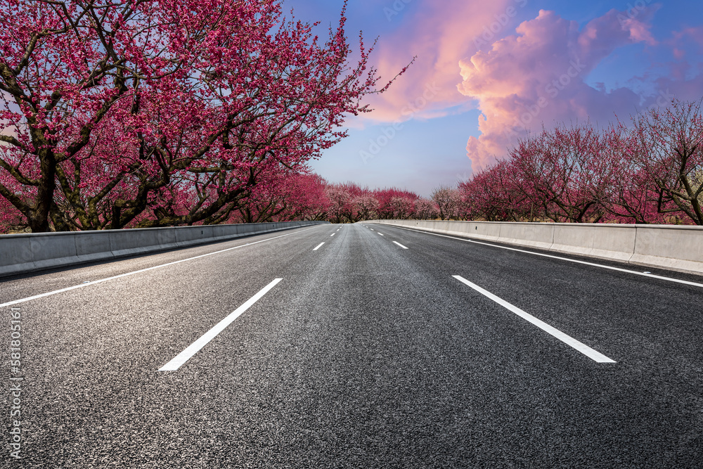 Asphalt road and plum blossom tree landscape