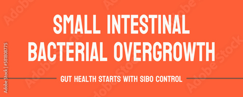 SIBO - Small Intestinal Bacterial Overgrowth - Condition causing digestive problems.