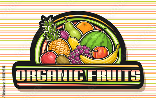 Vector logo for Organic Fruits, black decorative signboard with illustration of group juicy sweet fruits, dark badge with unique brush lettering for text organic fruits on colorful striped background