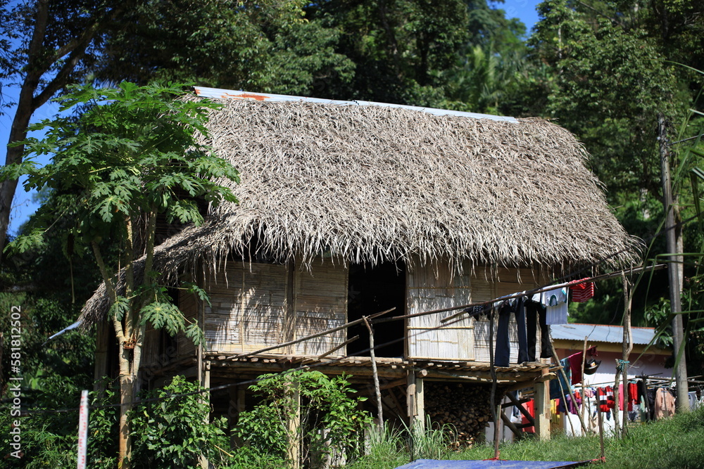 traditional house in the village