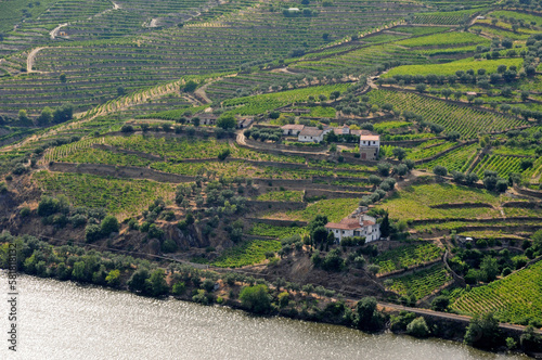 Pinhao wine region