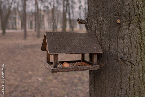 A wooden feeder on a tree with a nut inside. Wooden product. Feed wild animals and birds. Nut in the feeder. Feeder in the form of a house.