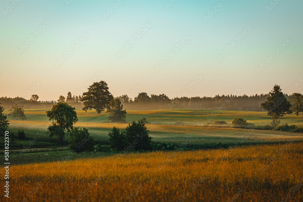 Countryside view during sunset time in summer