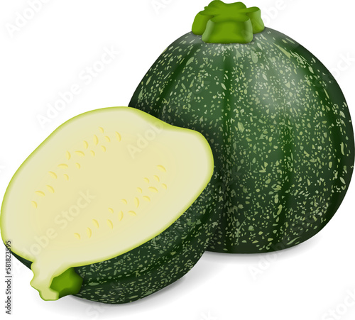 Whole and half of Round Zucchini or Eight Ball squash. Cue Ball squash. Courgette or marrow. Summer squash. Cucubits. Fruits and vegetables. Vector illustration isolated on white background.