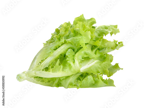 Fresh green lettuce on transparent png