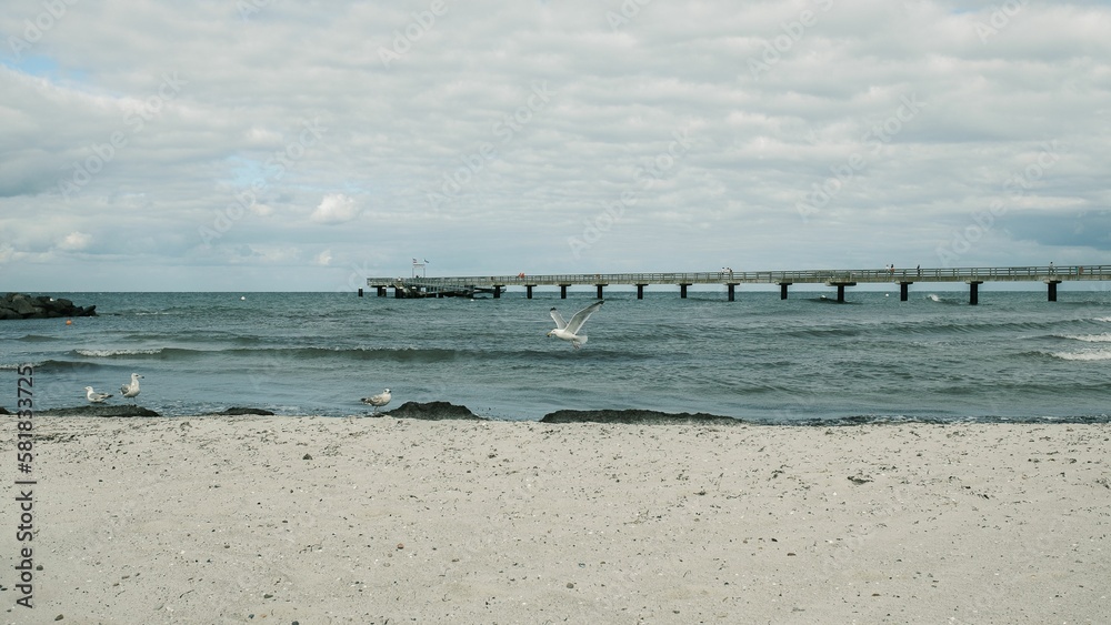 View of gulls flying over the sea and pier in the background