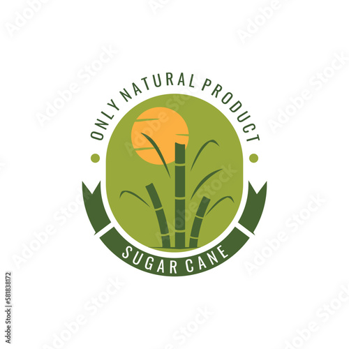 Natural Sweet Sugar Cane Plant Logo Template.
