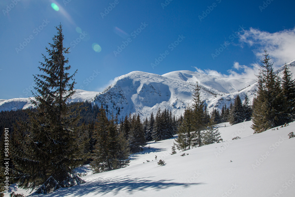 A view of the snowy rocky mountain Breskul in the Carpathians mountains