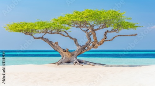Old beautiful tree on the shore. Amazing paradise islands of Maldives. Generative AI © piai