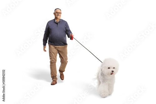 Mature man walking a bichon frise dog