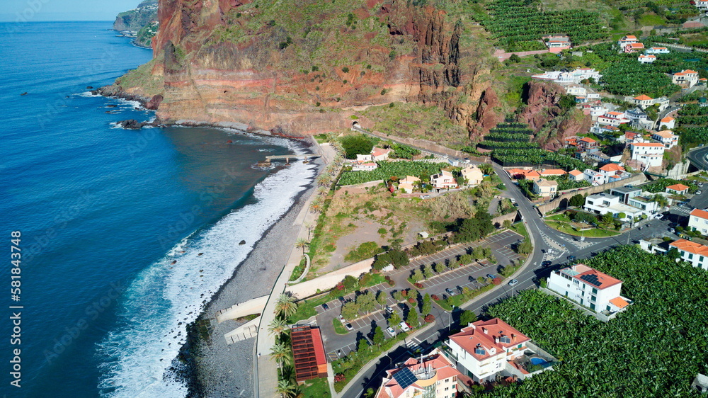 Banana Farm in Madeira
