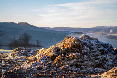 Steaming dung heap in the frosty morning