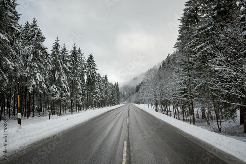 Empty highway between spruces covered in snow