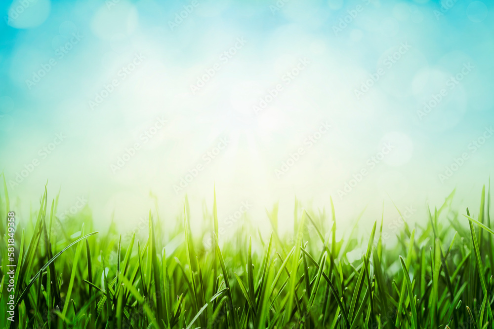 Green grass with bokeh effect on blue sky. Spring meadow background.
