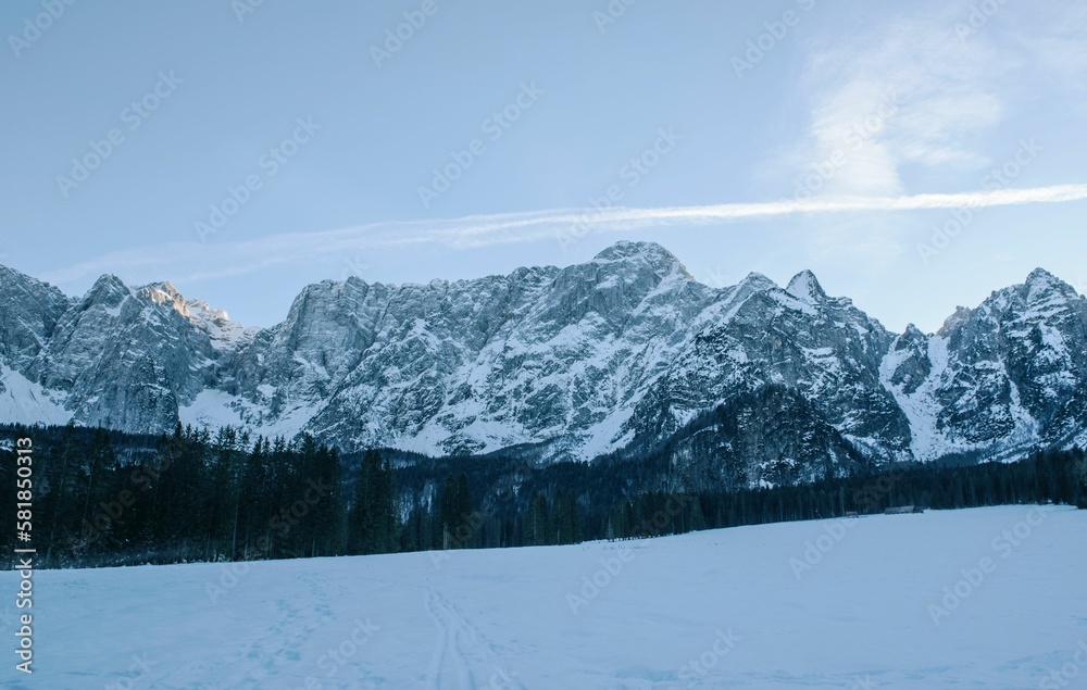 Landscape view of the snow-covered mountains with fir forest trees