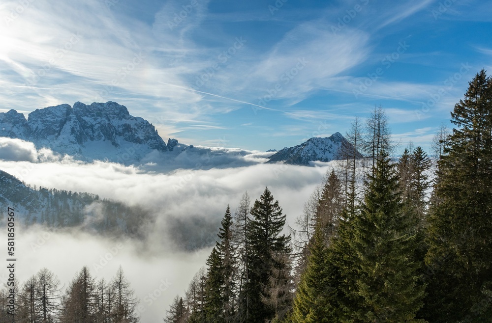 Gorgeous landscape with tall green trees and a sea of foggy clouds covering snowy mountains
