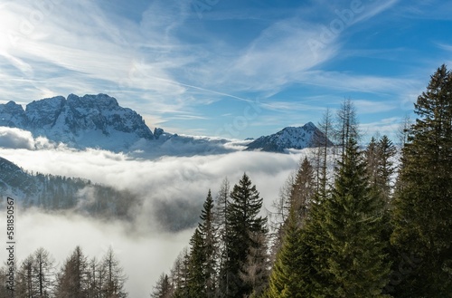 Gorgeous landscape with tall green trees and a sea of foggy clouds covering snowy mountains