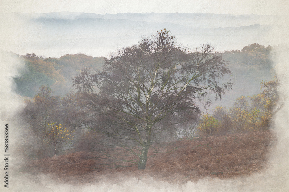 Digital watercolour painting of autumnal fall tree and leaf colours at the Downs Banks, Barlaston, Staffordshire. Digital watercolour painting of autumnal fall tree and leaf colours at the Downs Banks, Barlaston, Staffordshire.